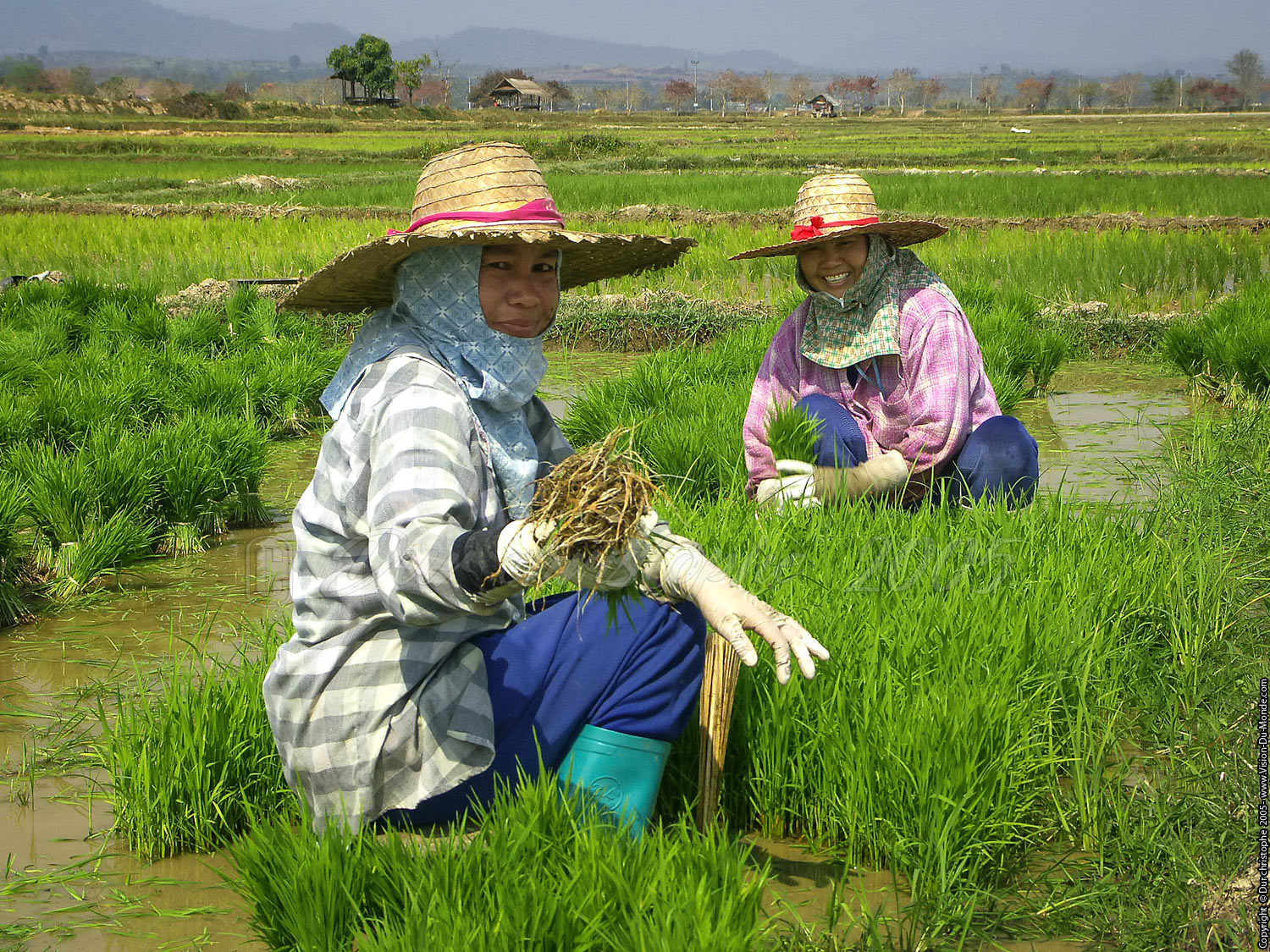 Chiang Mai - 2005