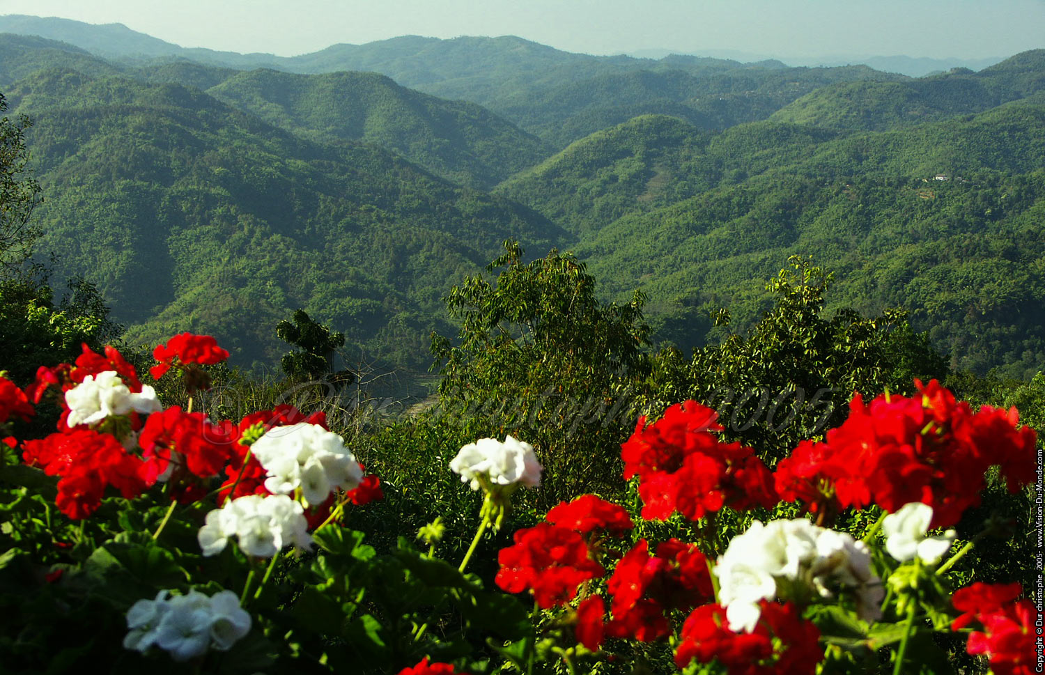 Chiang Rai - 2005