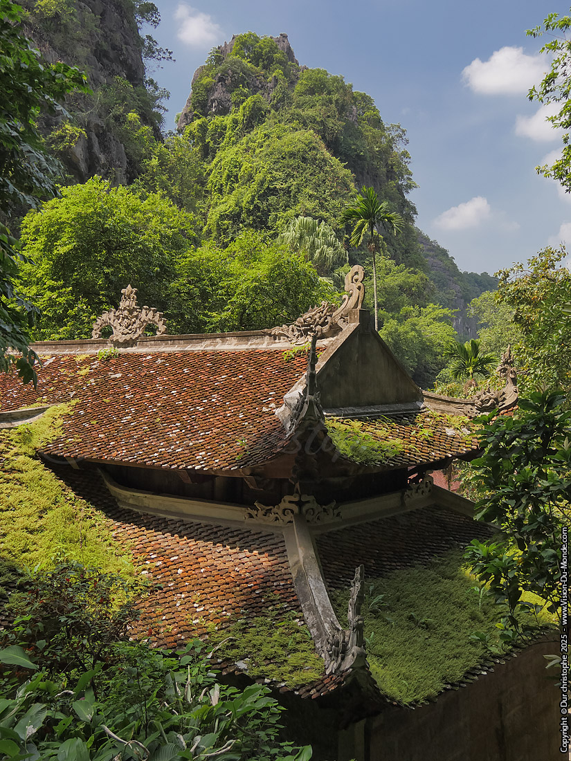 Tam Coc - 2025