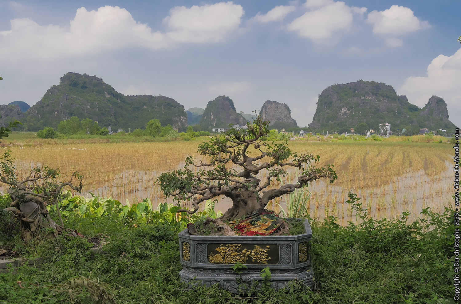 Tam Coc - 2025