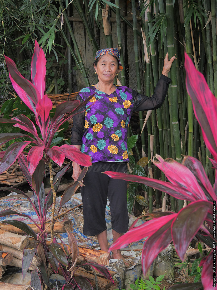 Vinh Yen - 2025