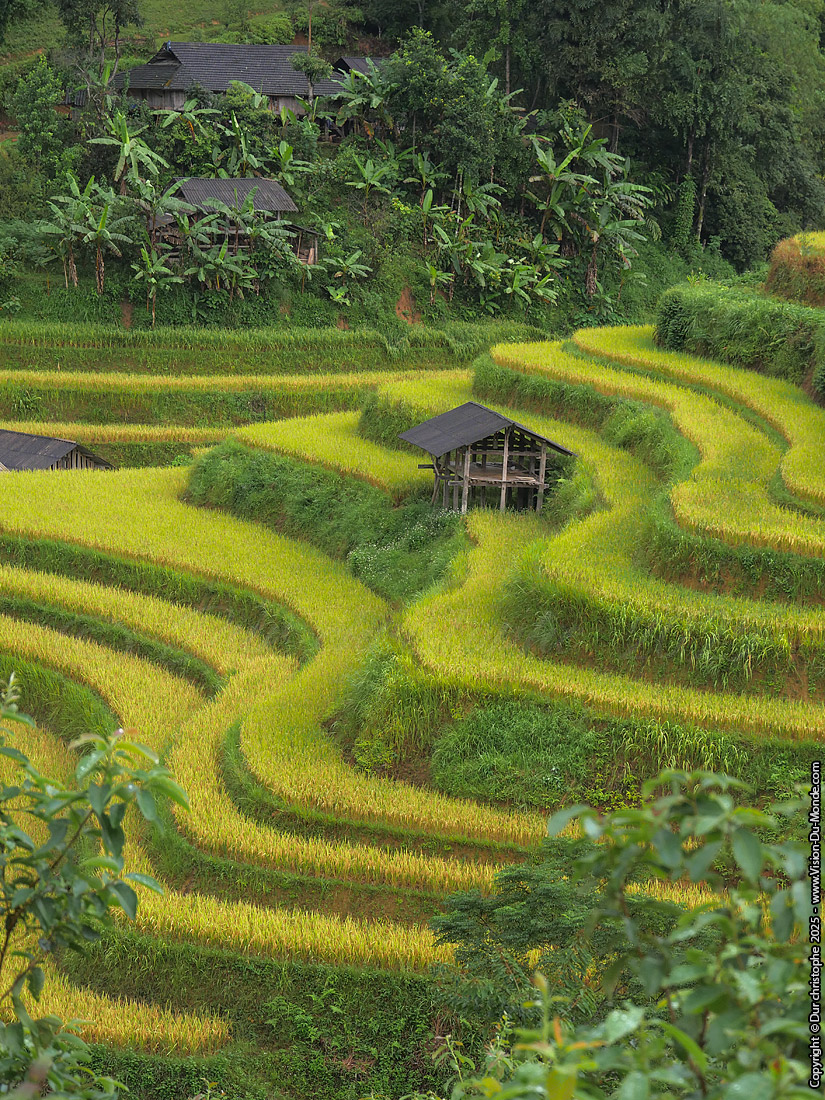 VIETNAM - 2025