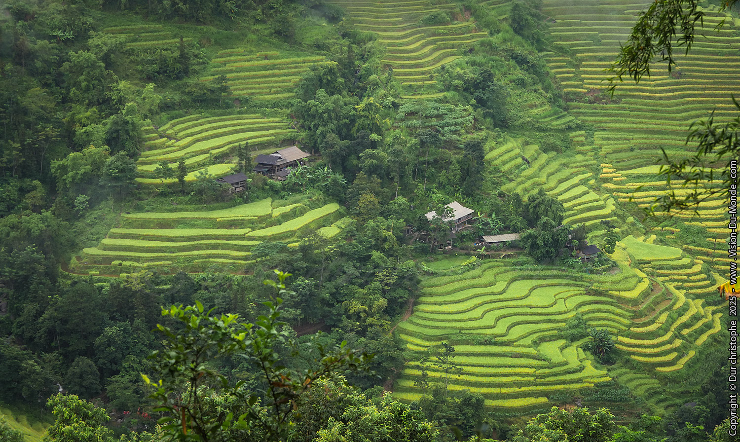 Ban Luoc - 2025