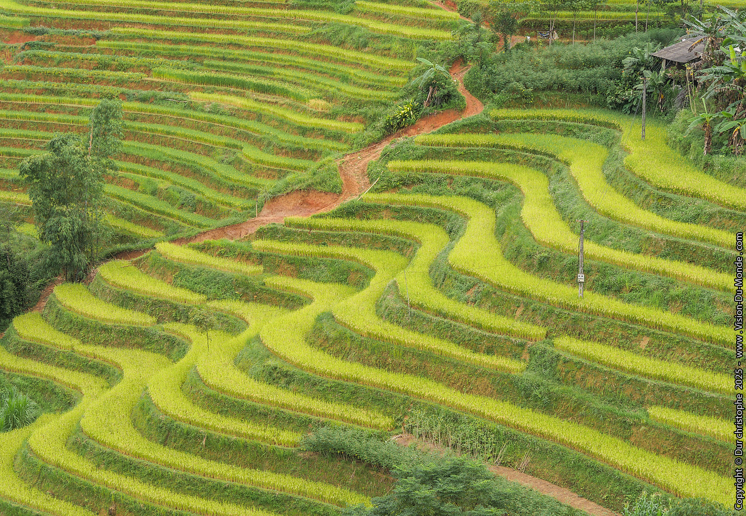 Hoang Su Phi District - 2025
