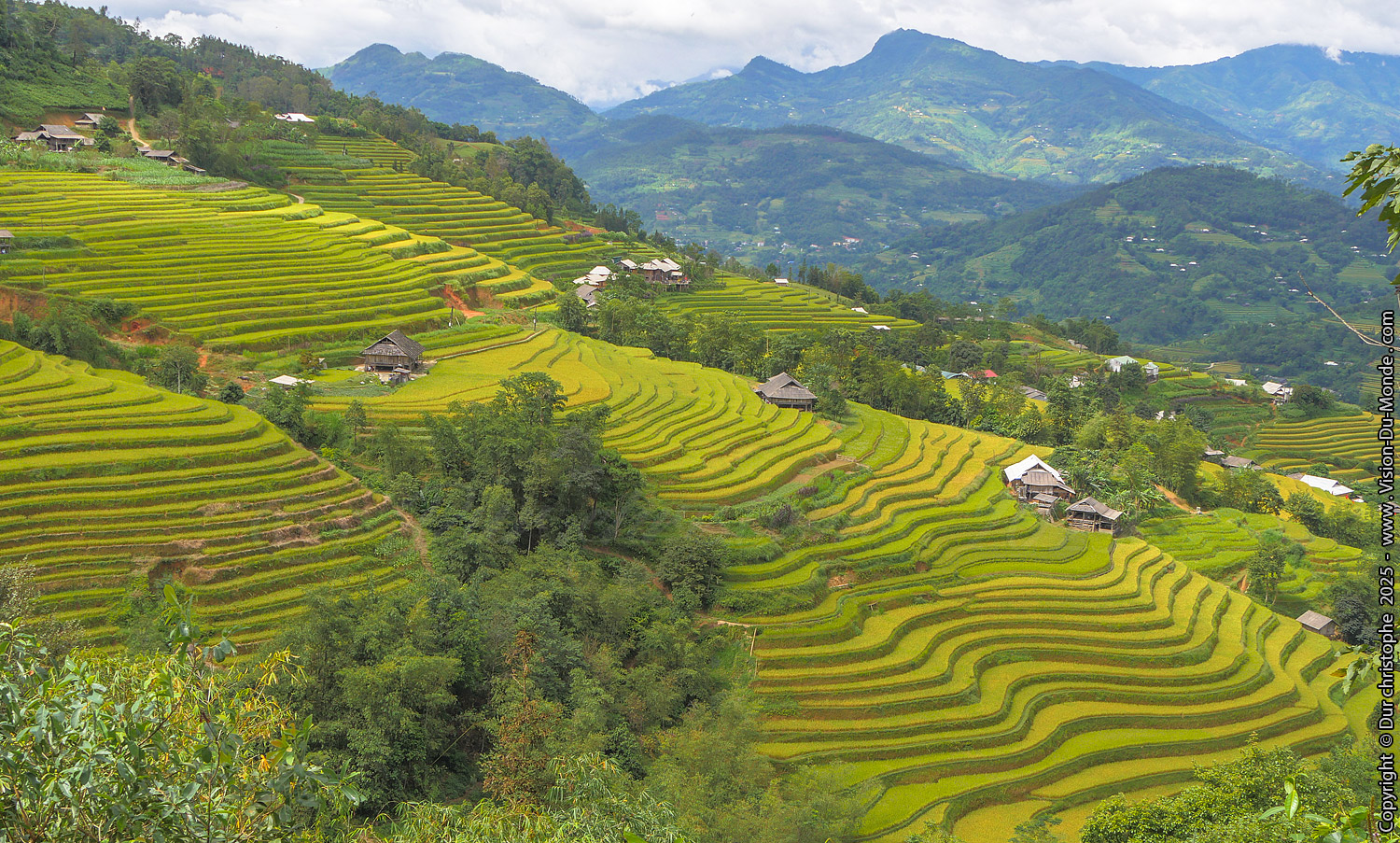 Hoang Su Phi District - 2025