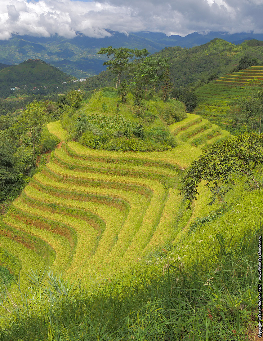 Hoang Su Phi District - 2025