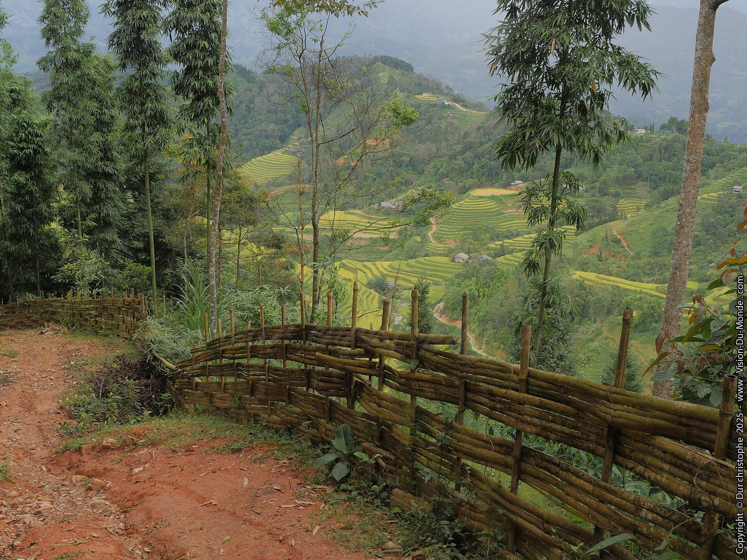 Hoang Su Phi District - 2025