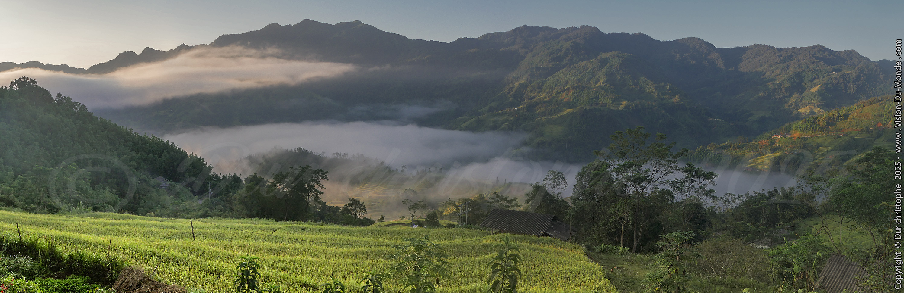 Hoang Su Phi District - 2025