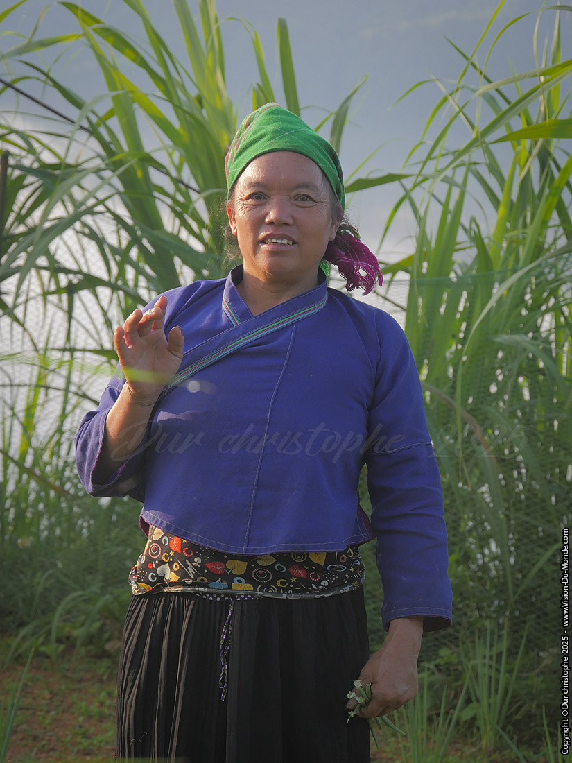 Hoang Su Phi District - 2025