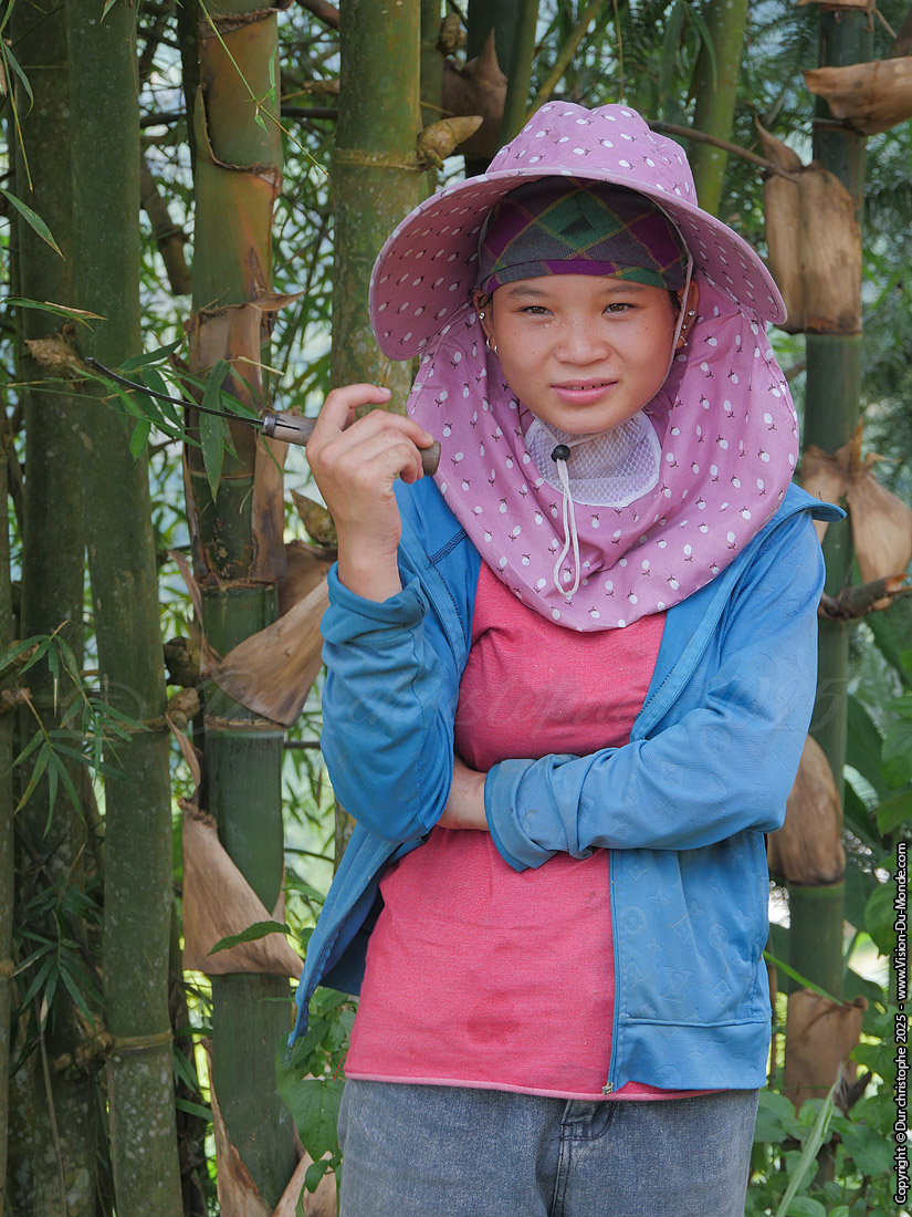 Hoang Su Phi District - 2025