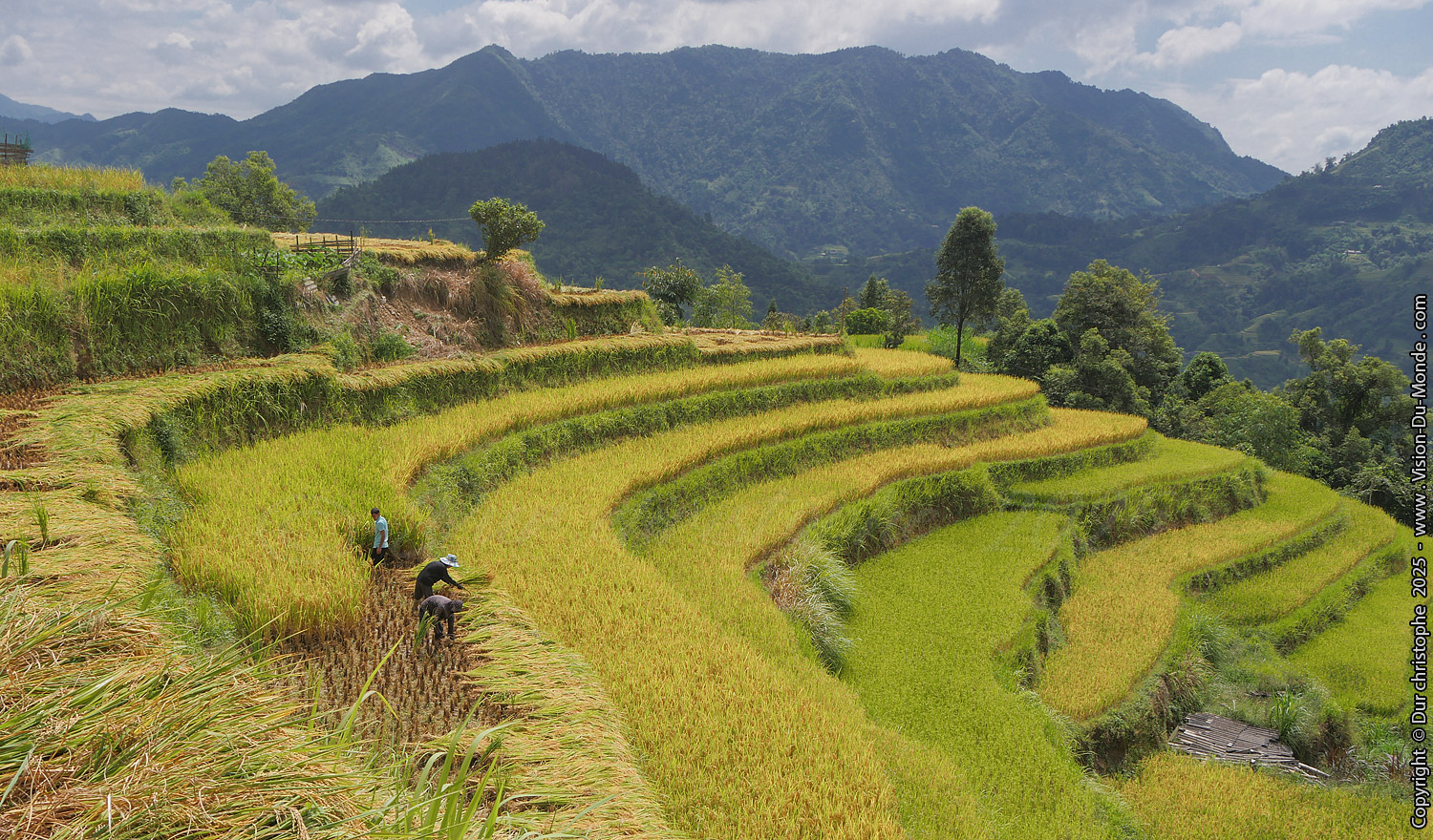 Hoang Su Phi District - 2025