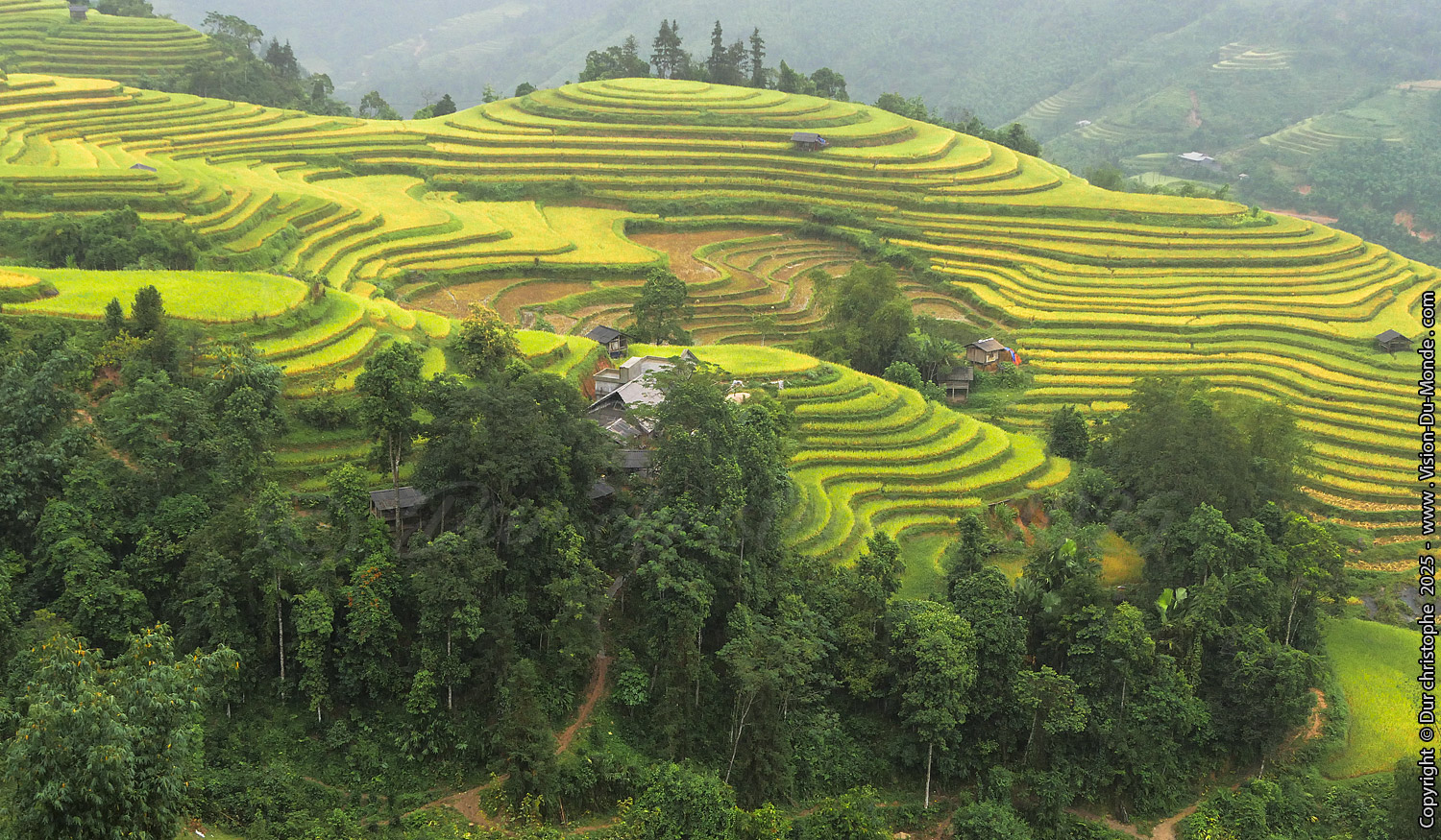 Hoang Su Phi District - 2025