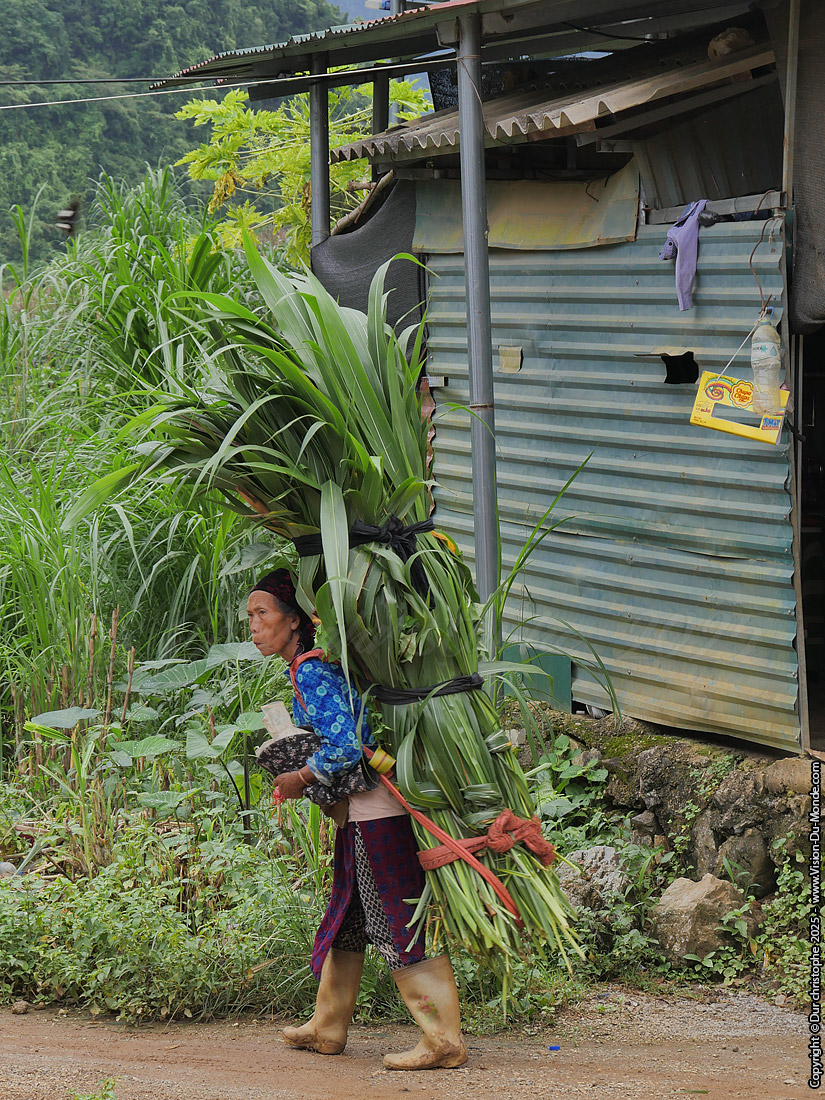 Ha Giang Loop - 2025
