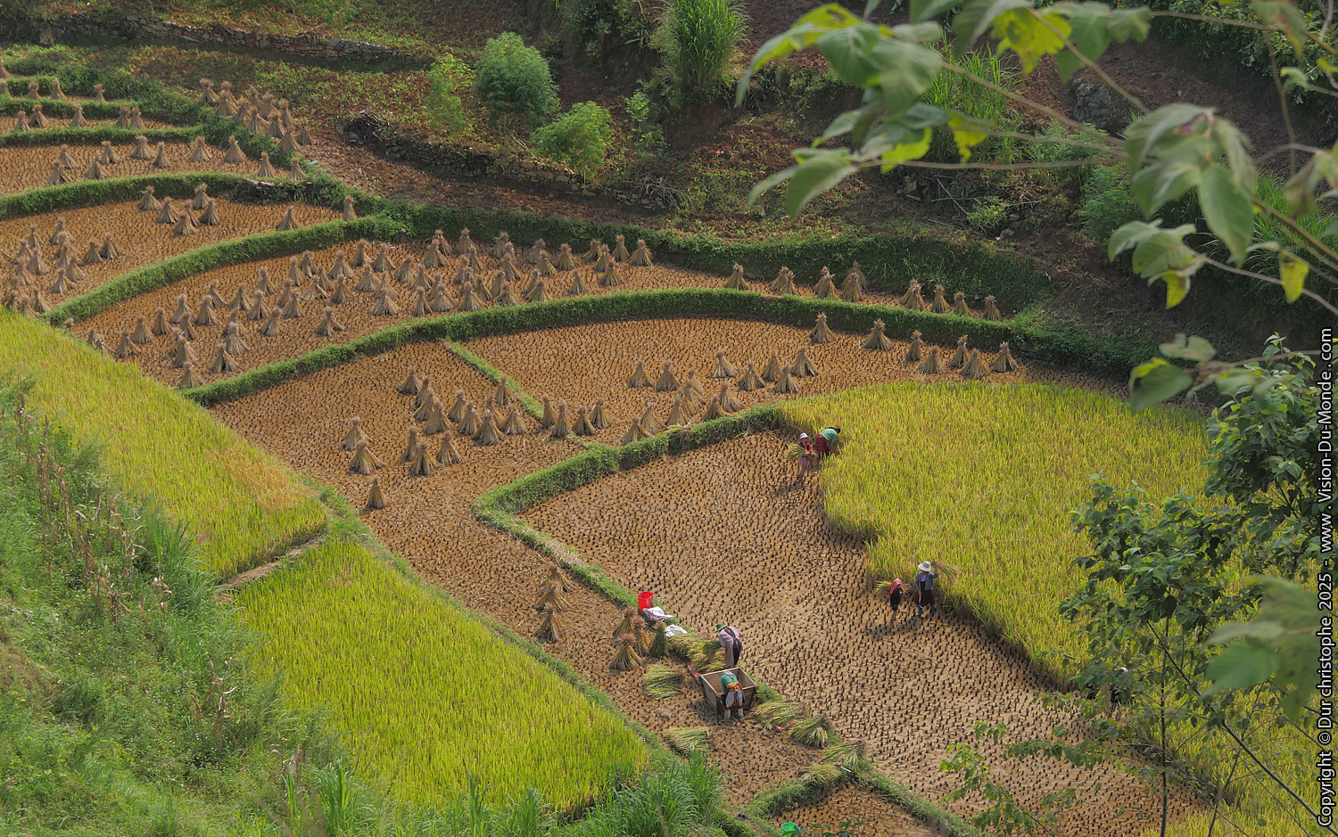 Ha Giang Loop - 2025