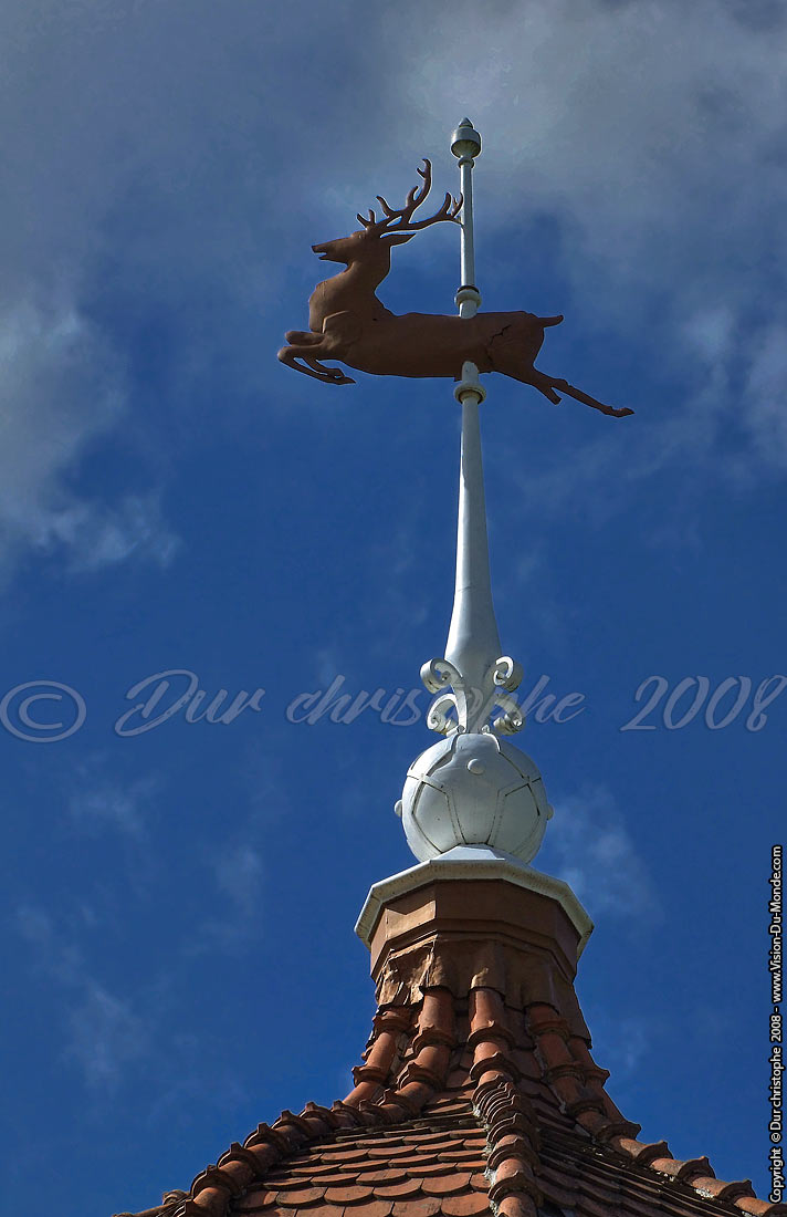 chateau de neuschwanstein - Hohenschwangau - 2008