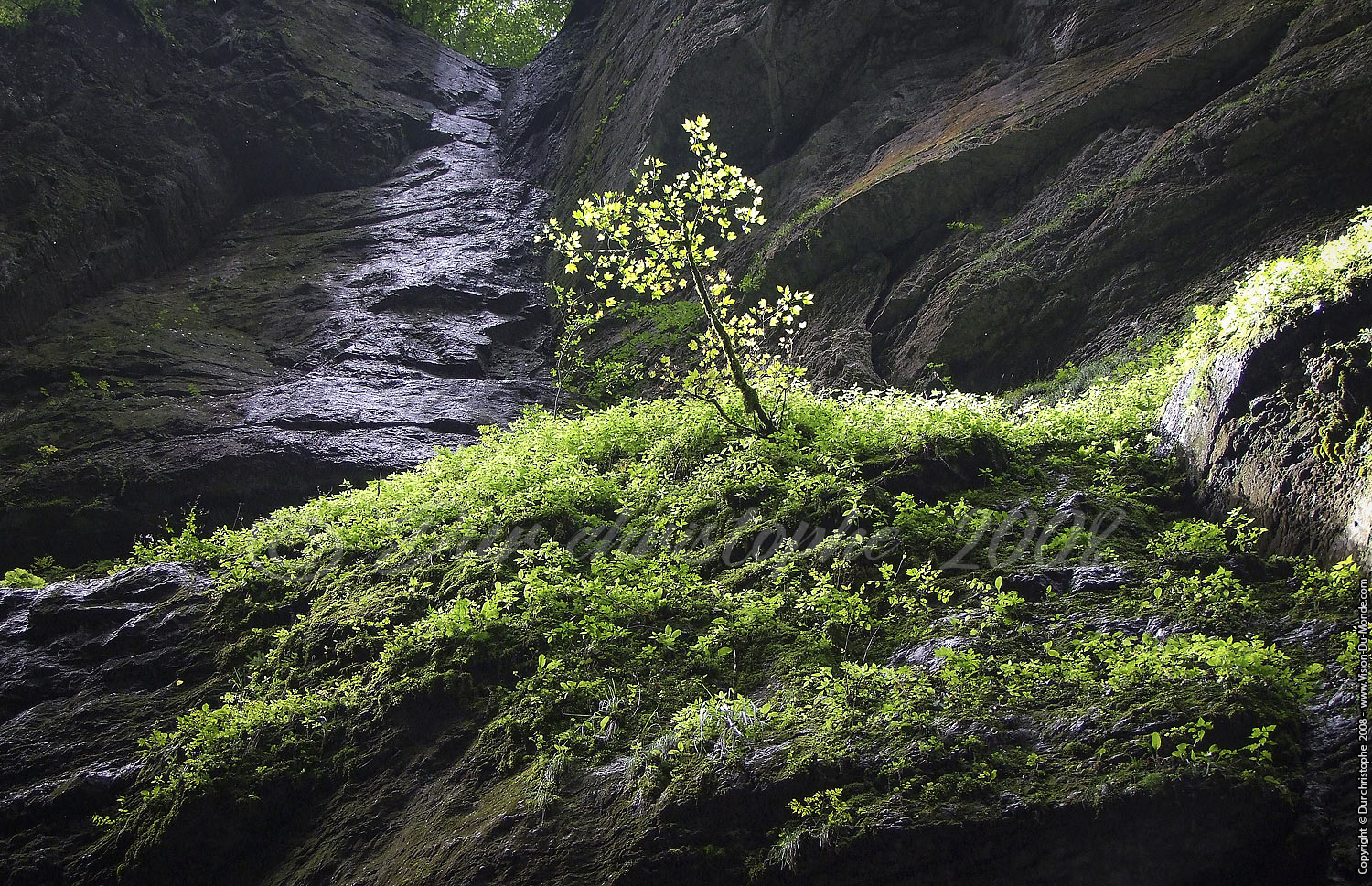 Gorges De Partnach - 2008