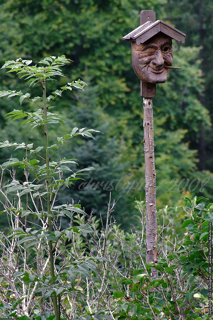 Gorges De Partnach - 2008