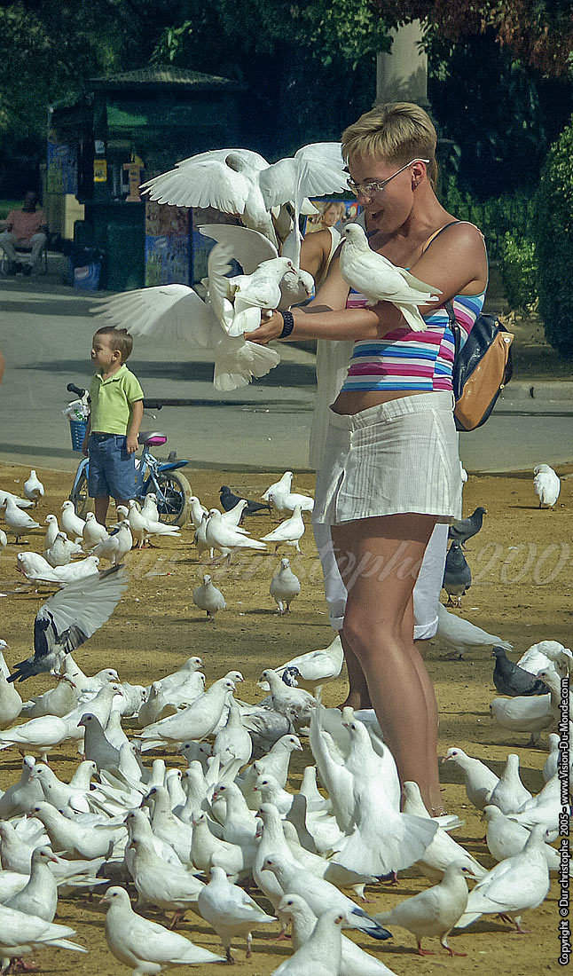 La fille aux colombes - Seville - 2005