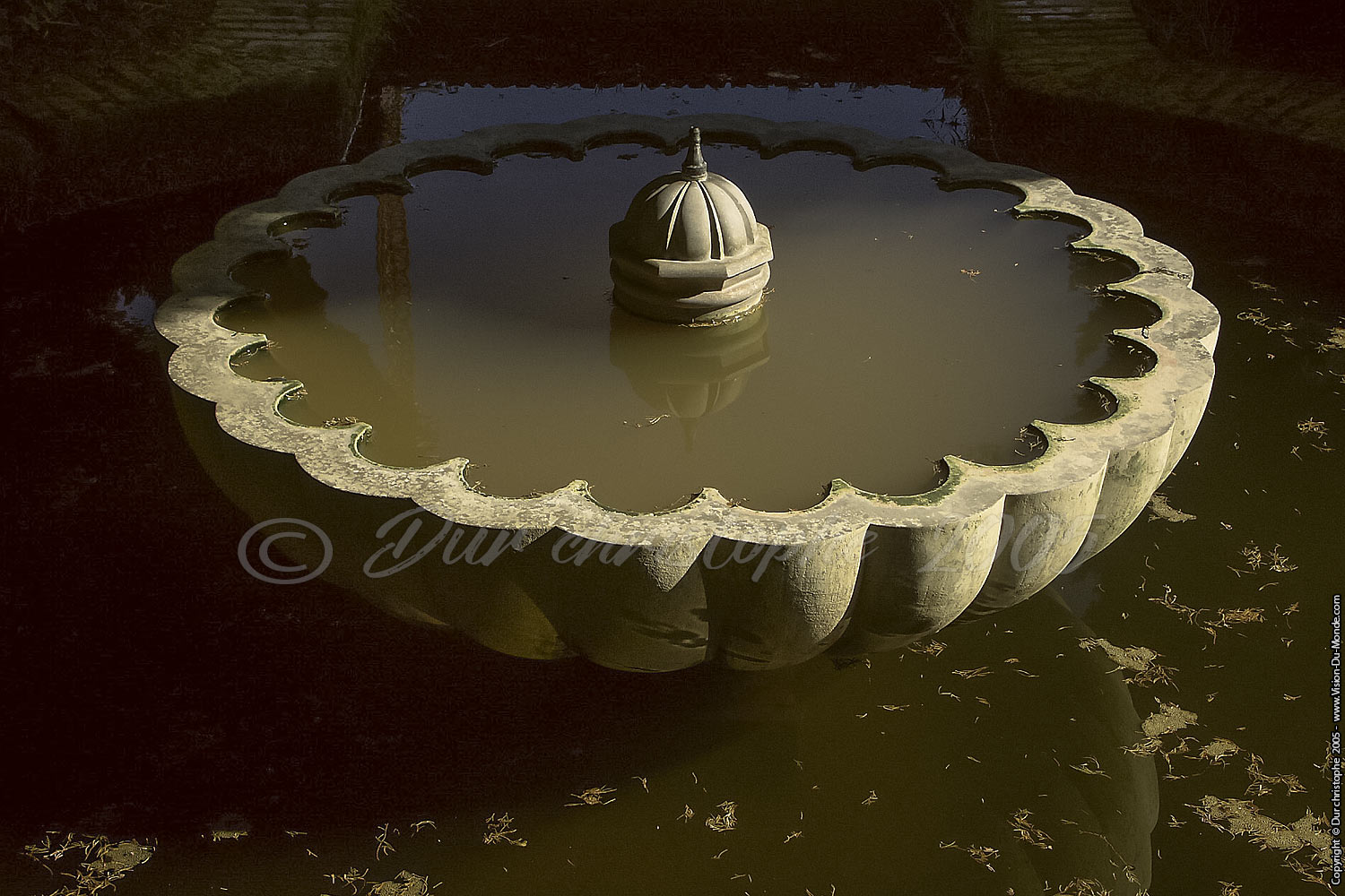 La fontaine - Generalife - Grenade - 2005