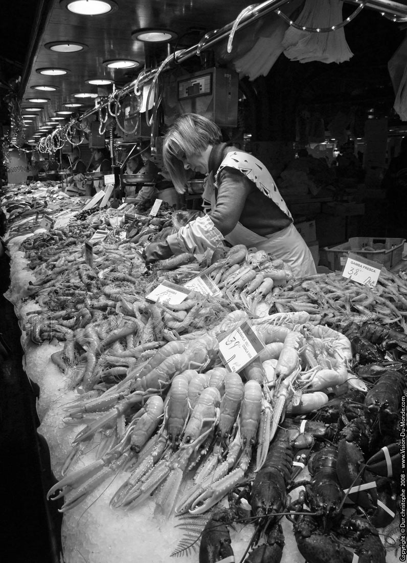 Marché de la Boqueria - 2008