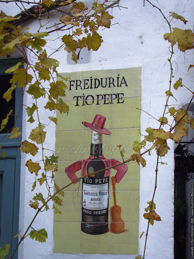 Tio Pepe - 2008