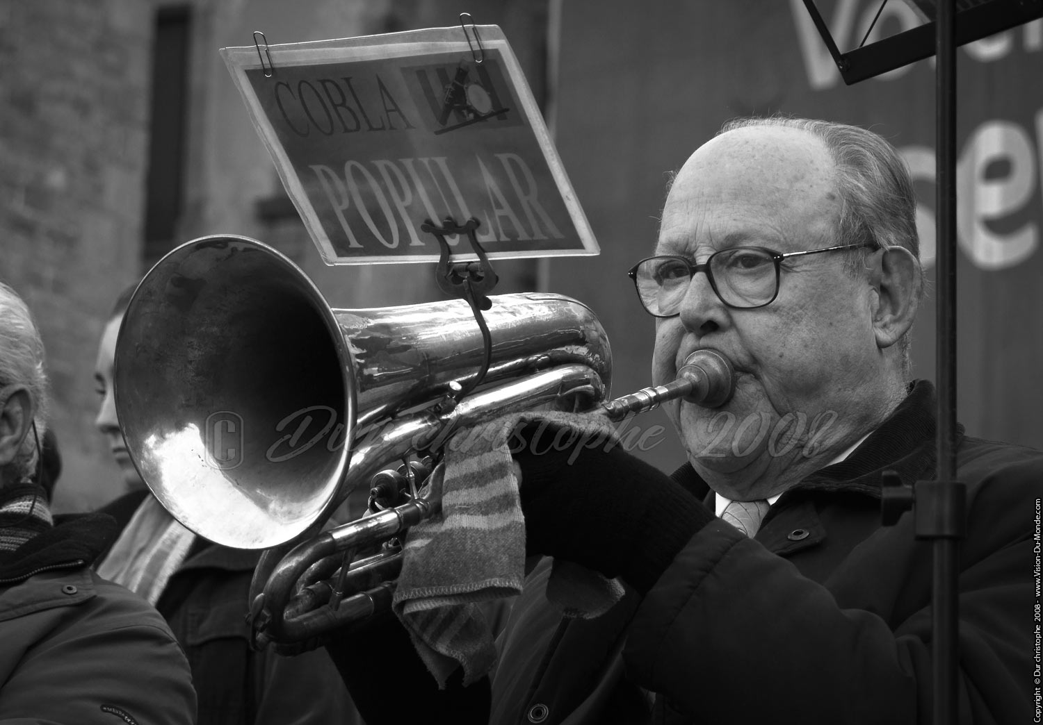 Le vieux musicien  - 2008