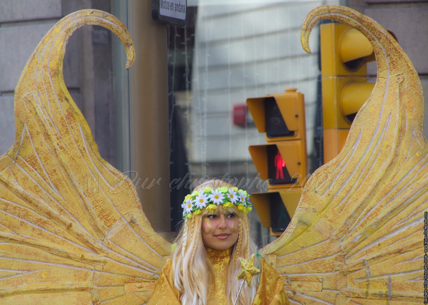 Yellow angel - 2008