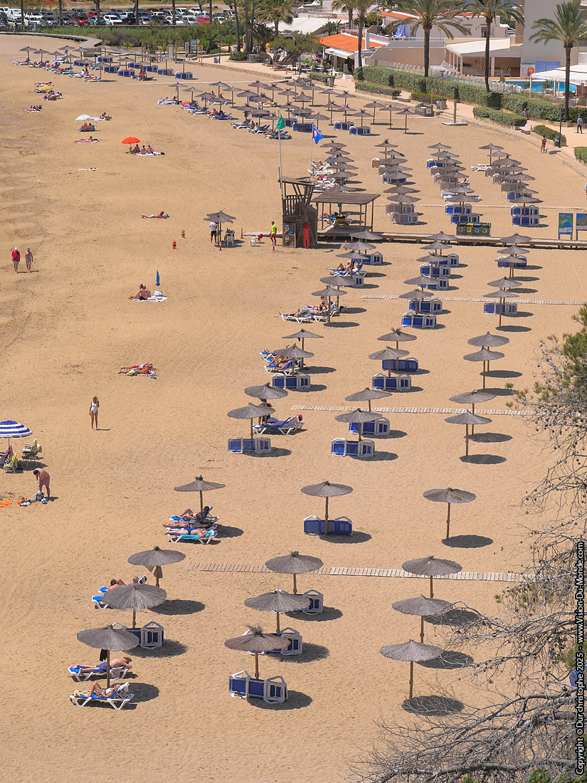 Cala de Sant Vicent - 2025