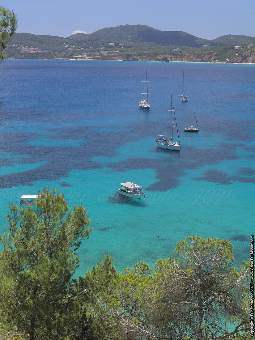 Cala de Sant Vicent - 2025