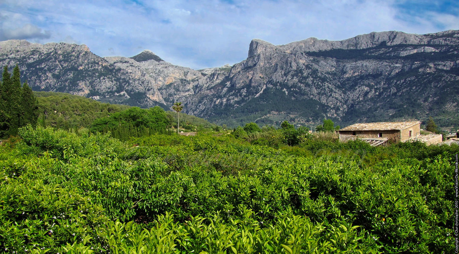 Soller - Majorque 2010