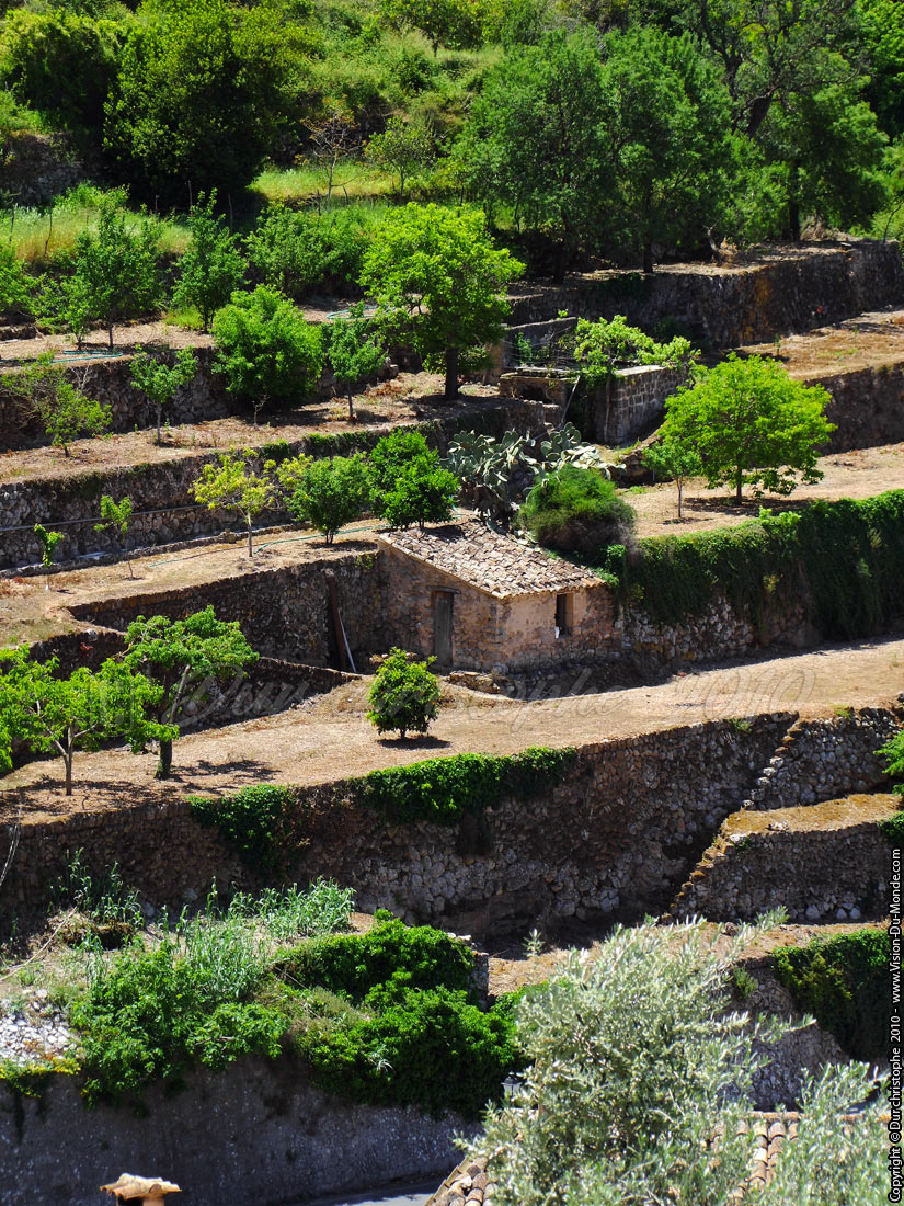 Deia - Majorque 2010