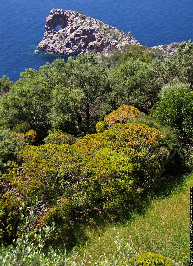 Deia - Majorque 2010