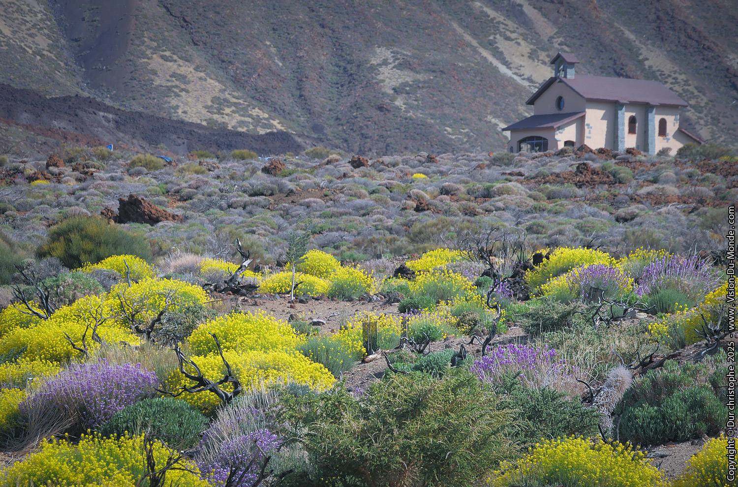 Parc National Teide - 2025