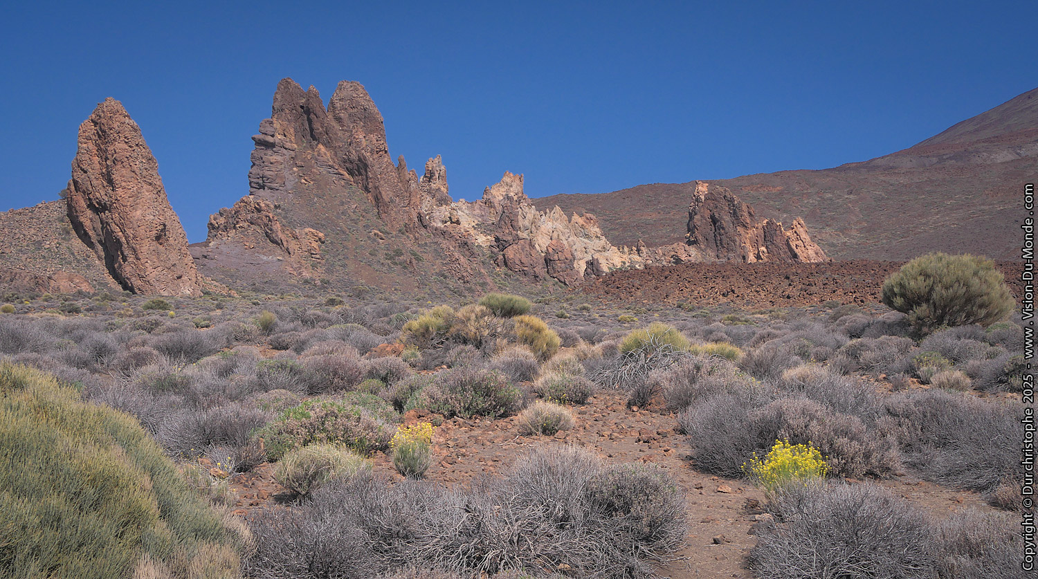 Parc National Teide - 2025