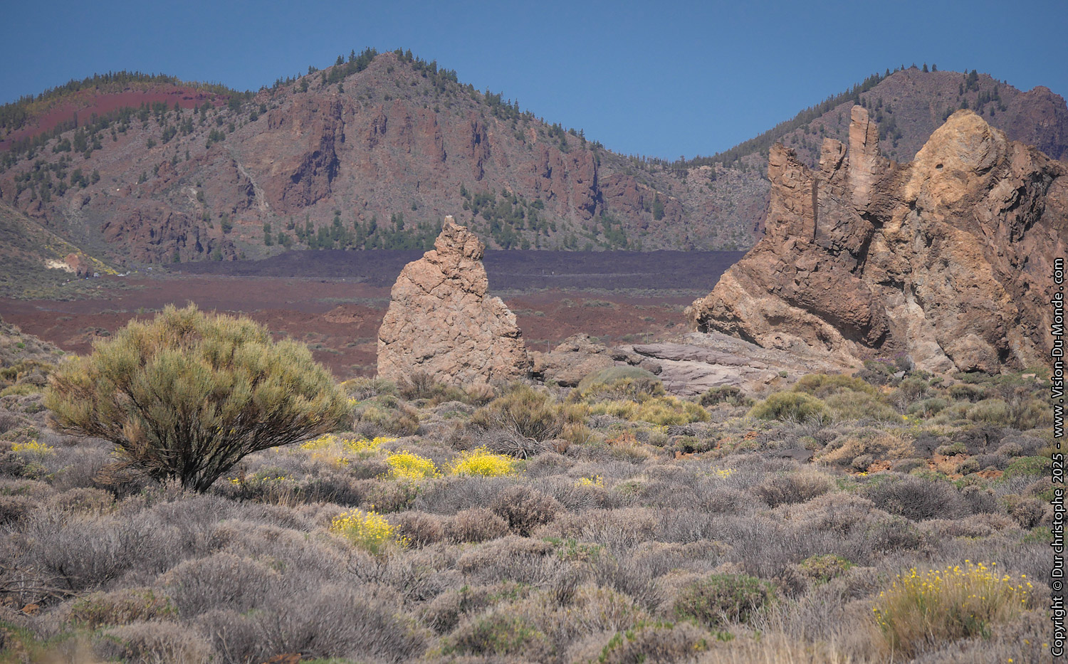 Parc National Teide - 2025