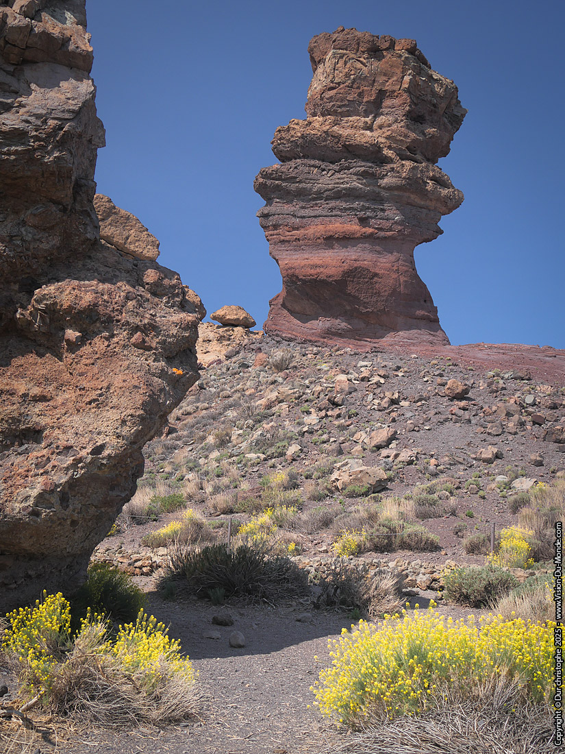 Parc National Teide - 2025