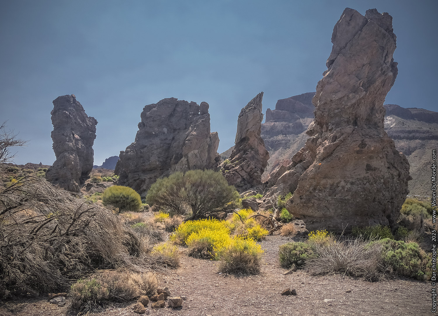 Parc National Teide - 2025