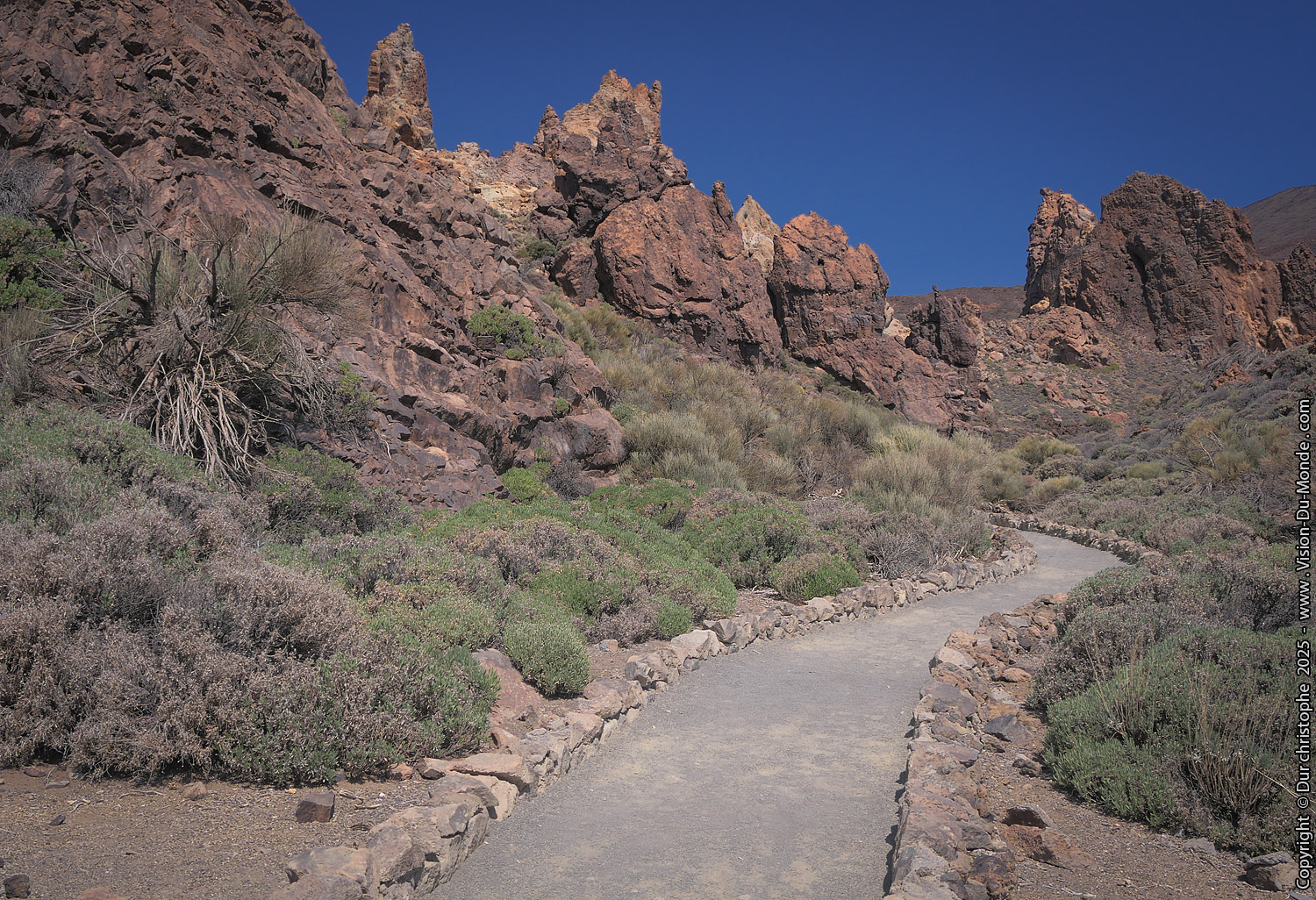 Parc National Teide - 2025