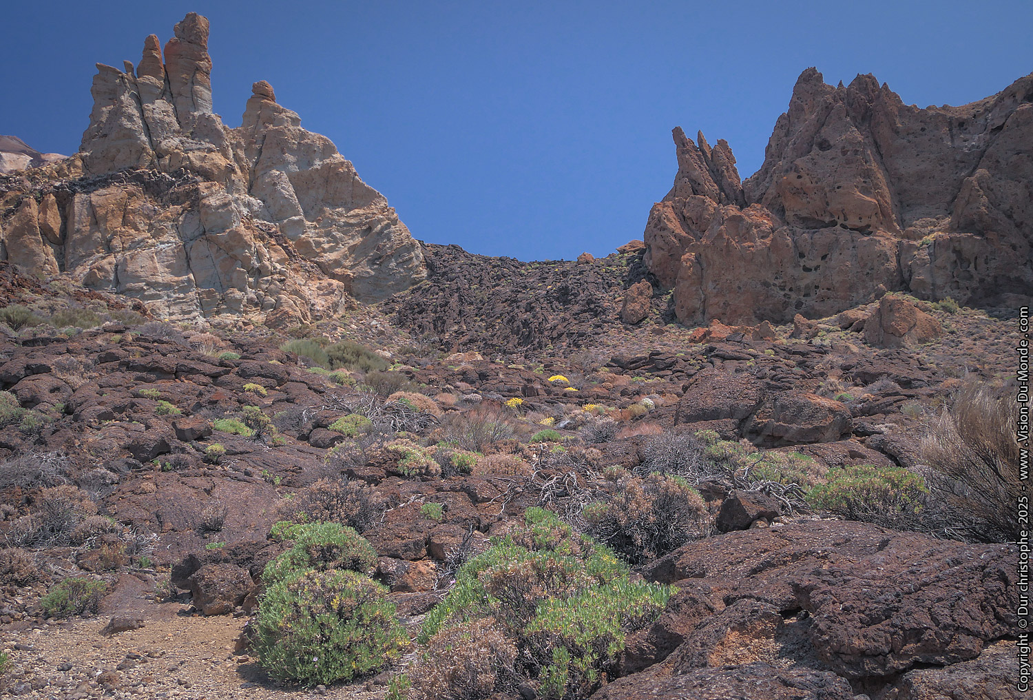 Parc National Teide - 2025