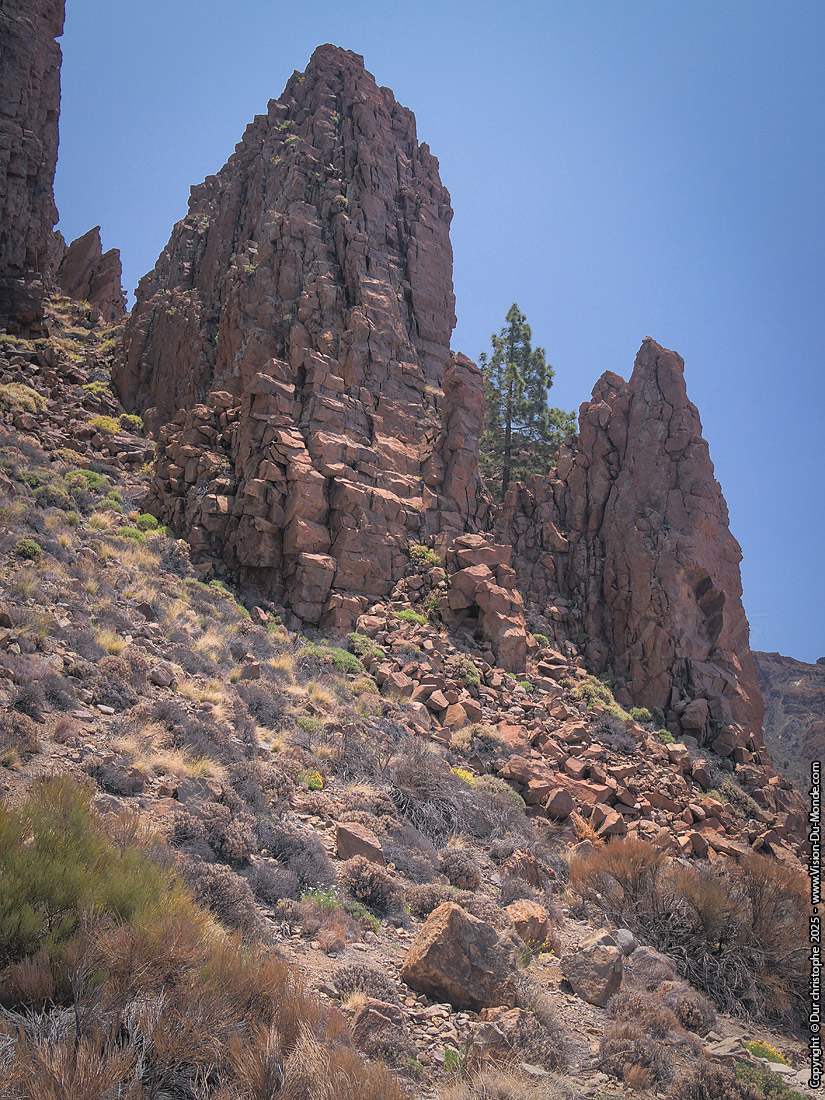 Parc National Teide - 2025