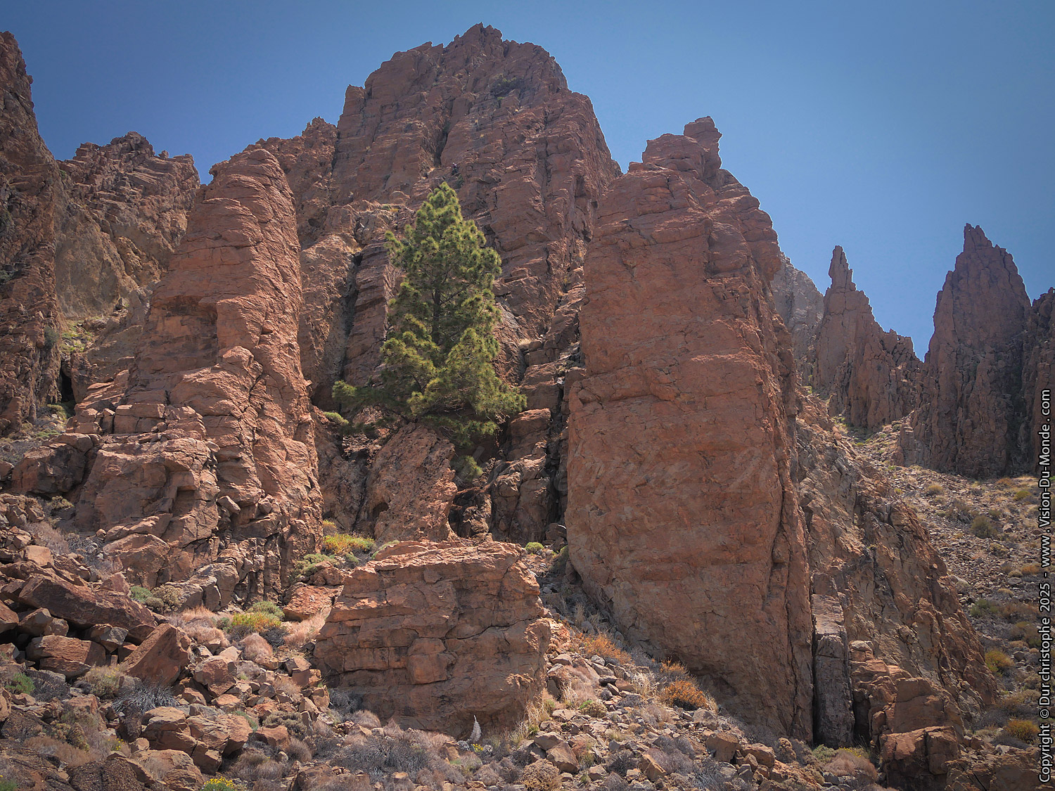 Parc National Teide - 2025