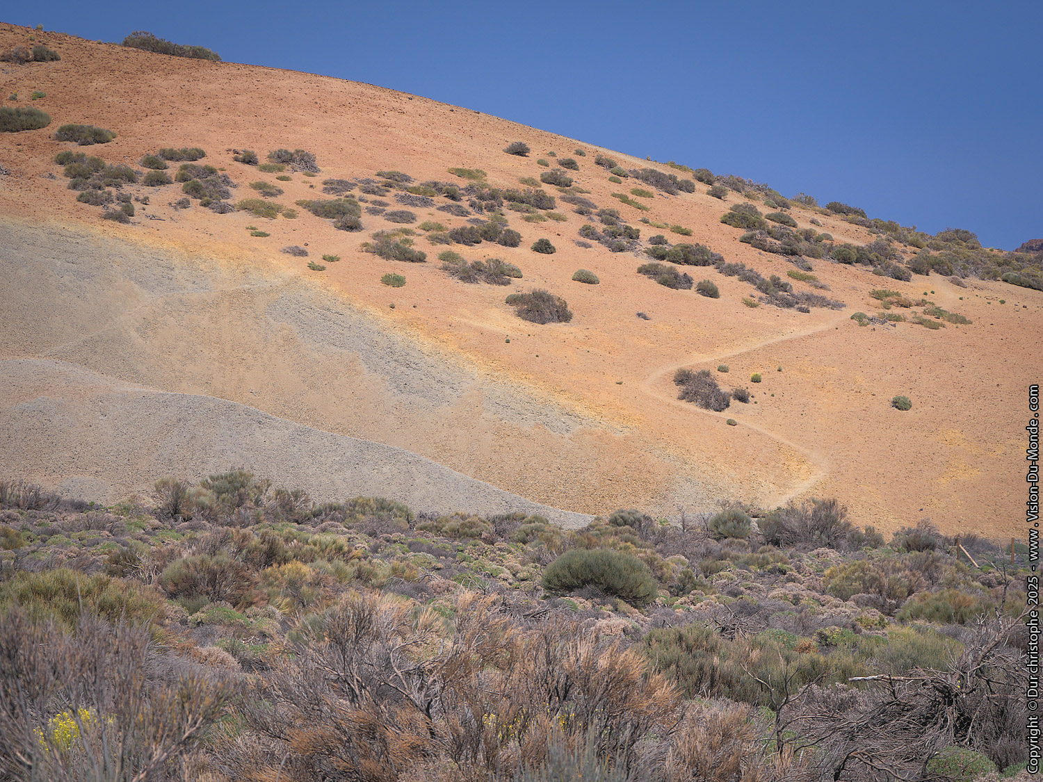 Parc National Teide - 2025