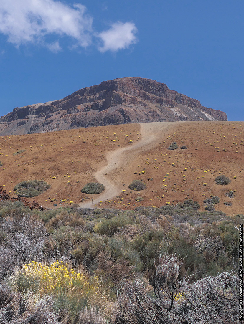 Parc National Teide - 2025
