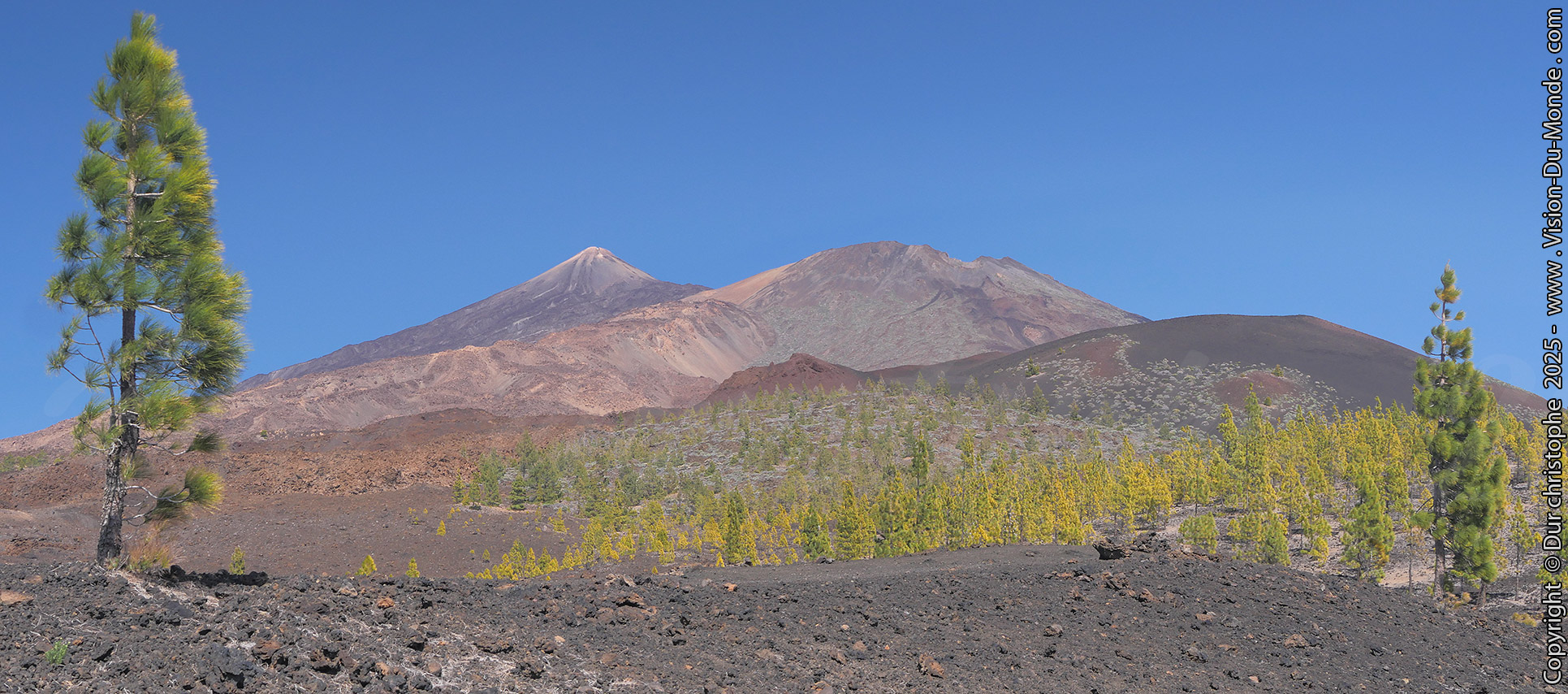 Parc National Teide - 2025