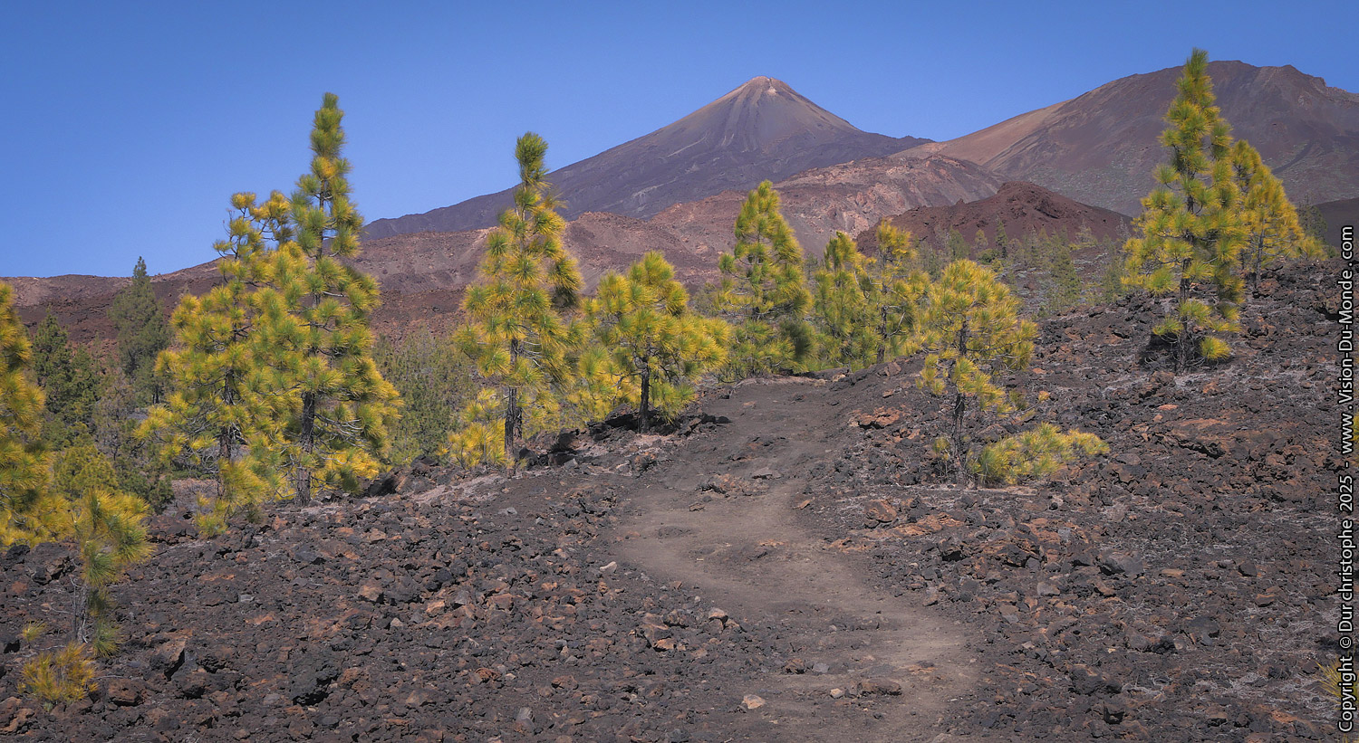 Parc National Teide - 2025