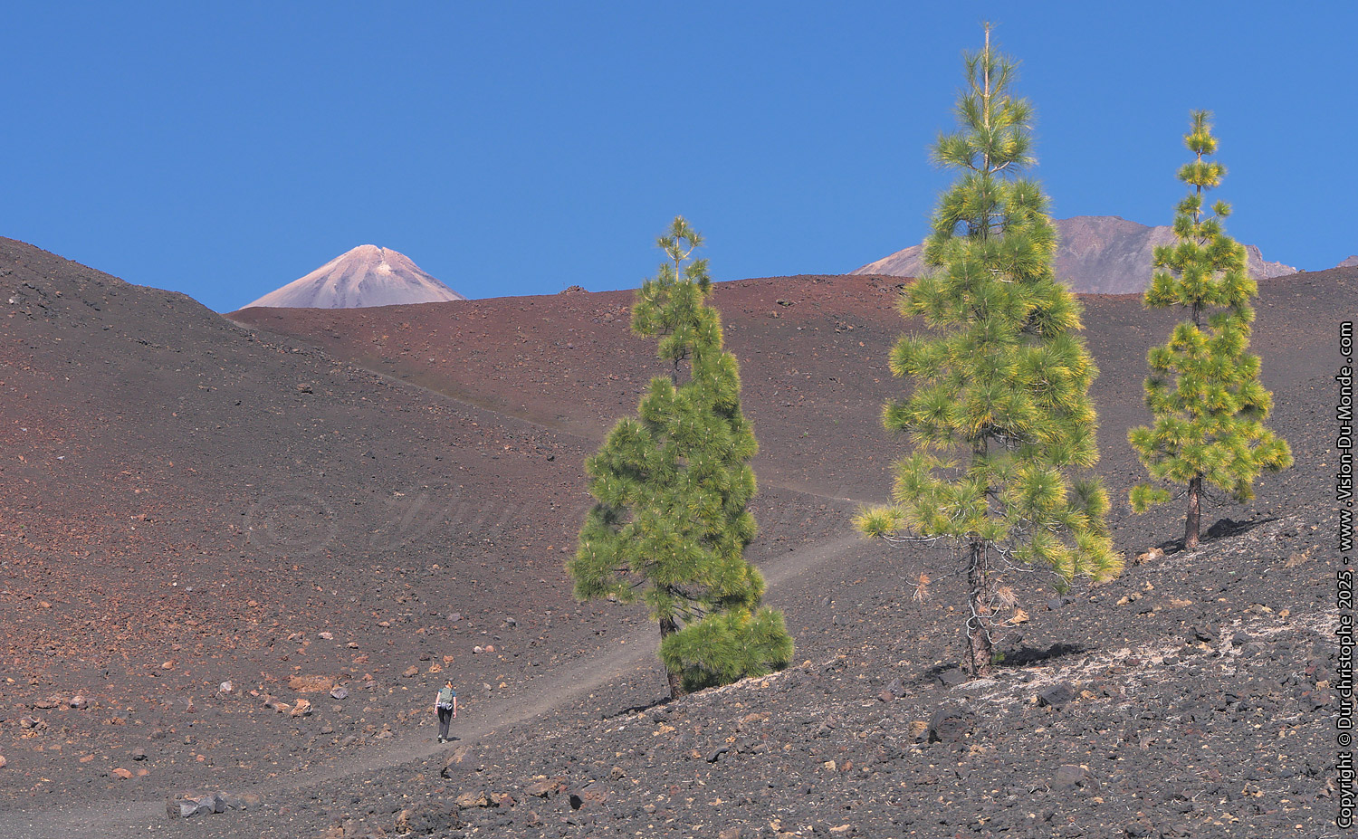 Parc National Teide - 2025