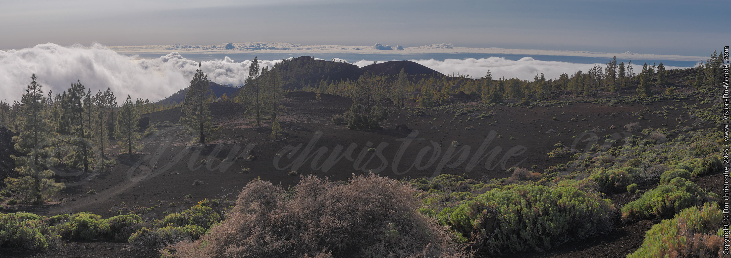 Parc National Teide - 2025