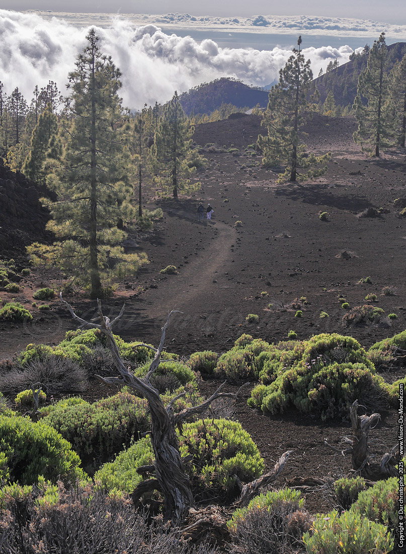 Parc National Teide - 2025