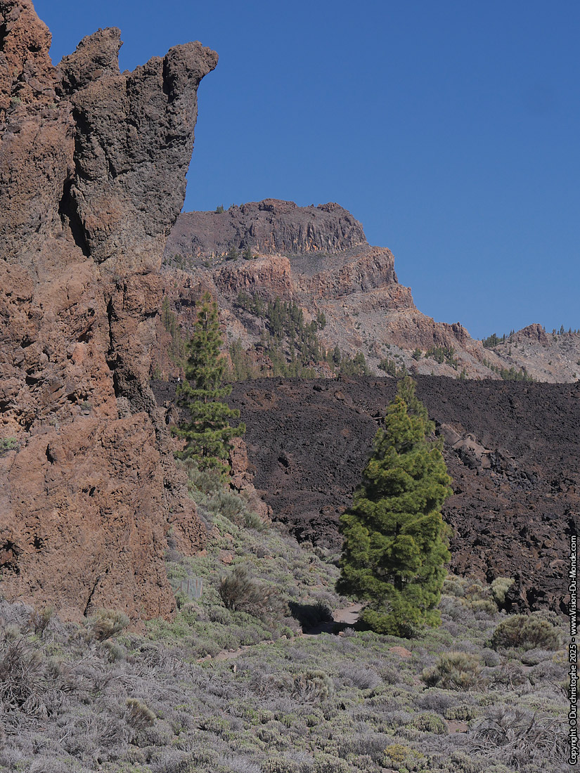 Parc National Teide - 2025