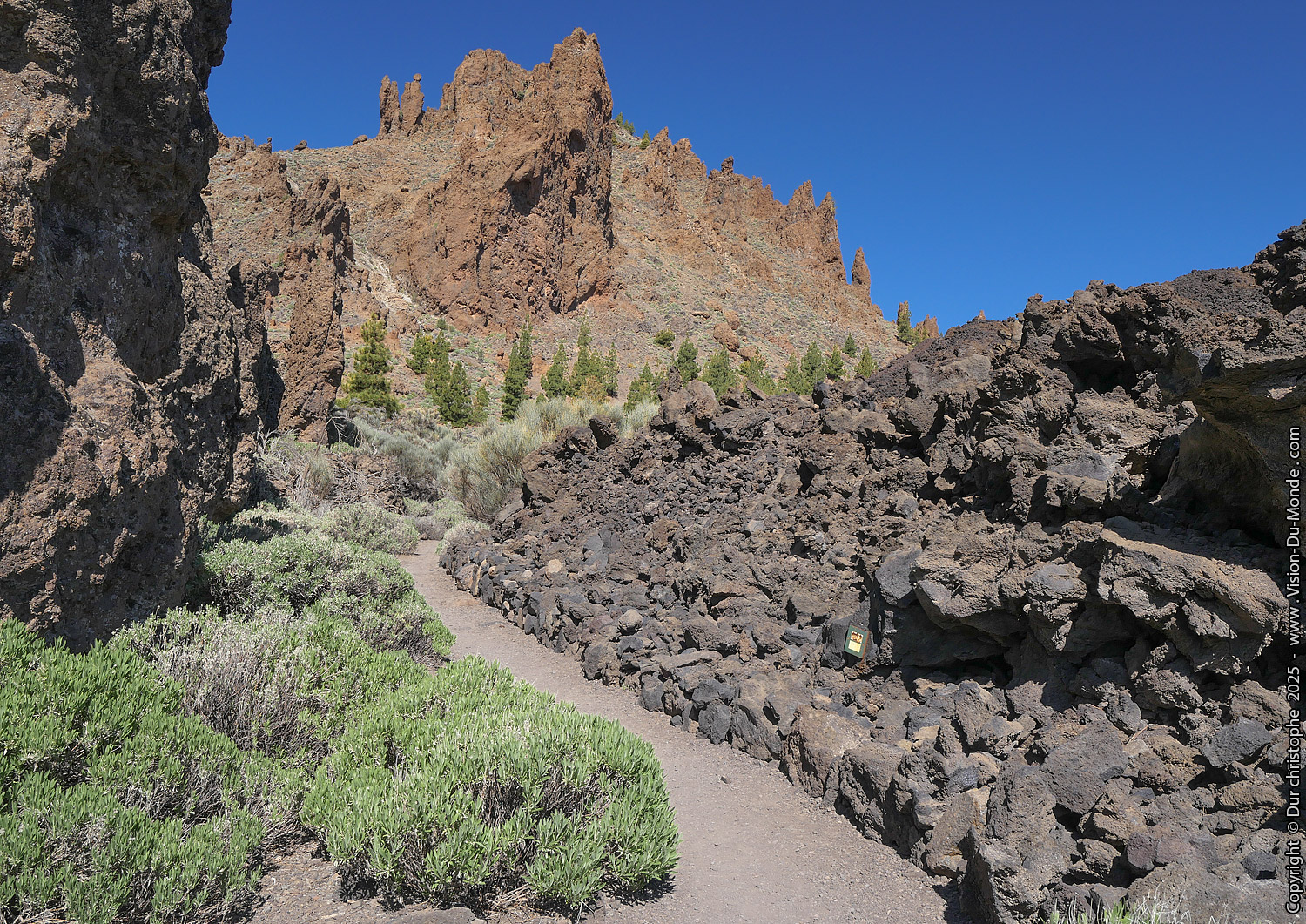 Parc National Teide - 2025